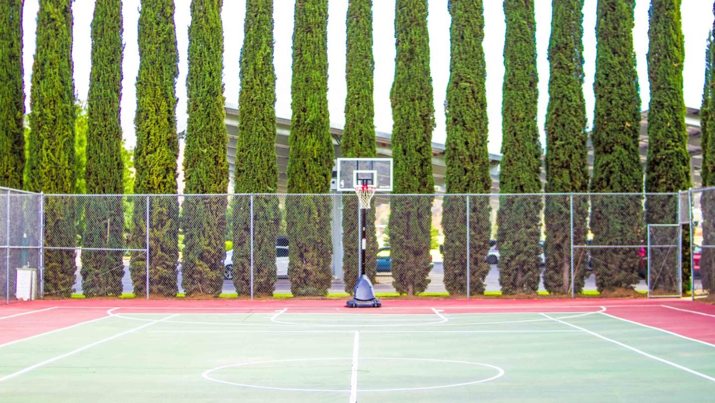 A basketball court.