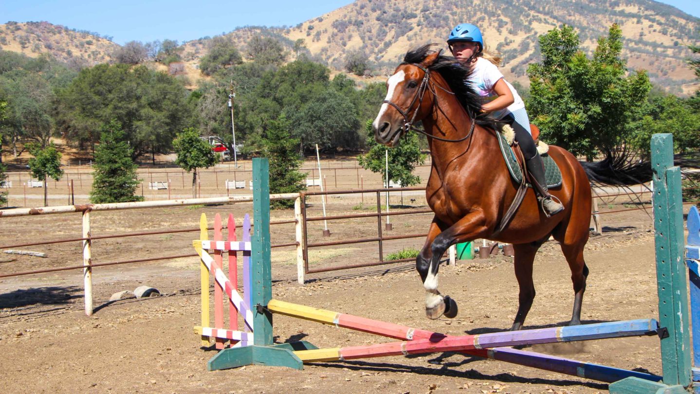 A camper teaching a horse how to jump