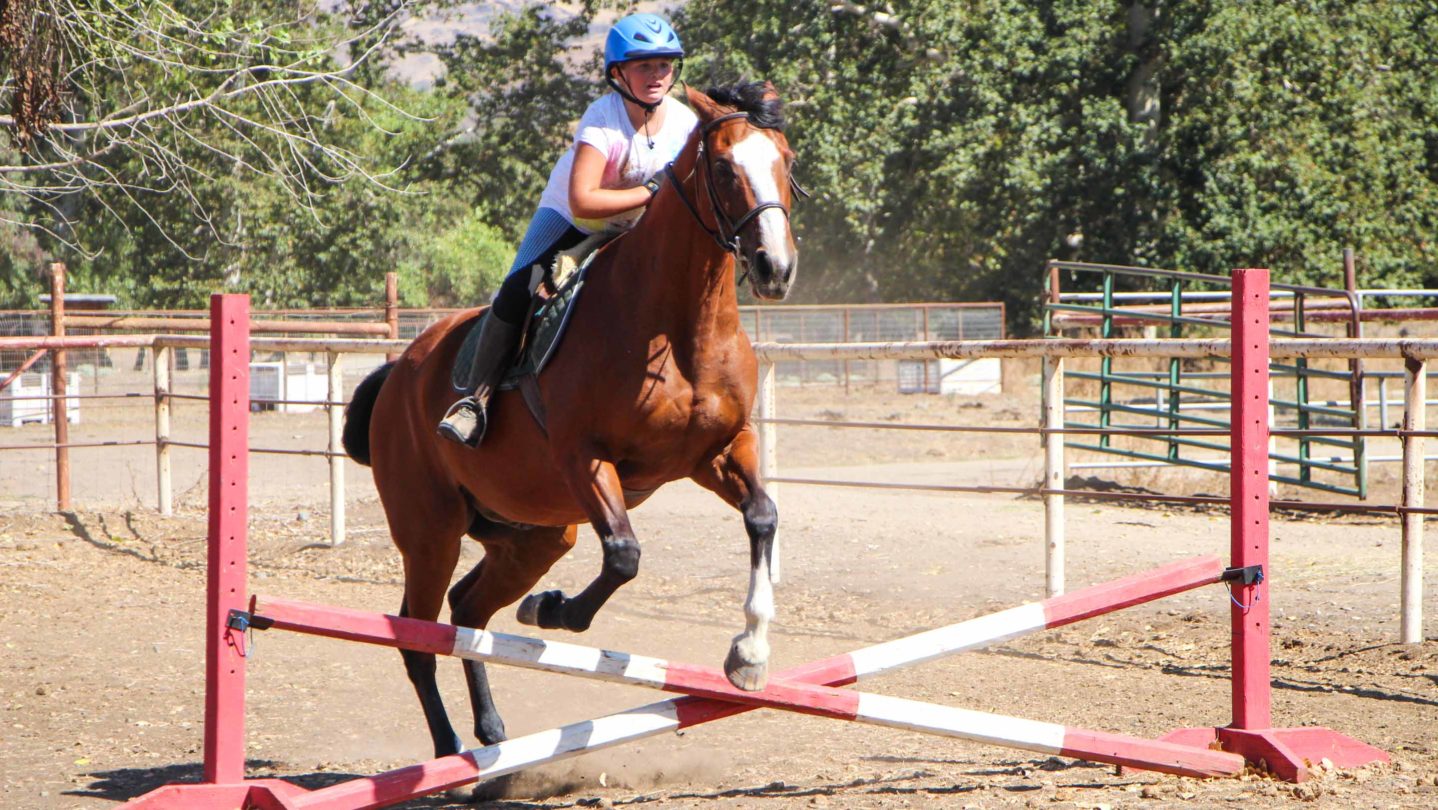 A camper teaching a horse how to jump